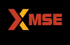 MSEI Growth & Innovation